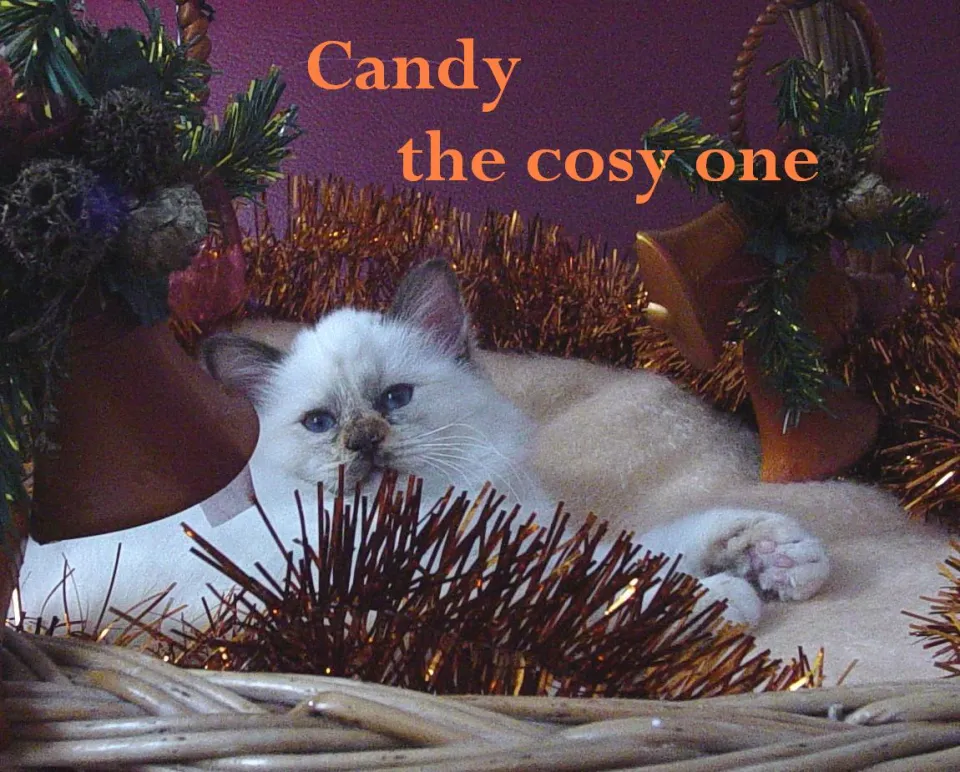 Bild 5 von 6