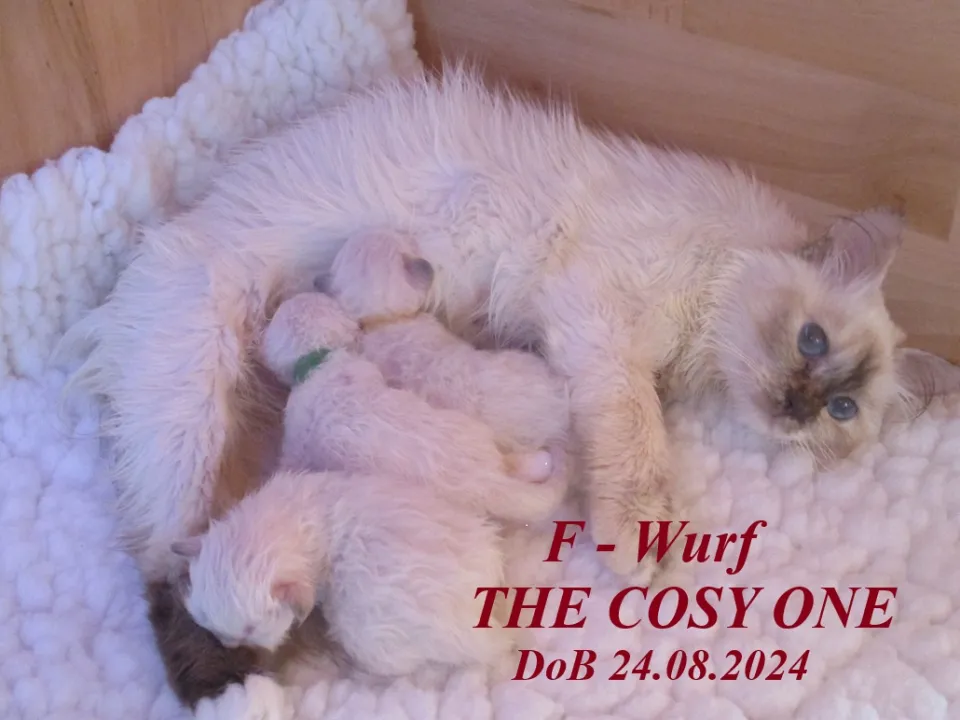 Bild 4 von 4