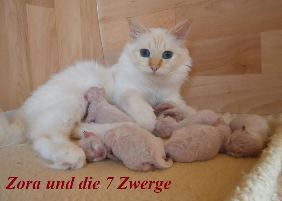 Bild 3 von 3