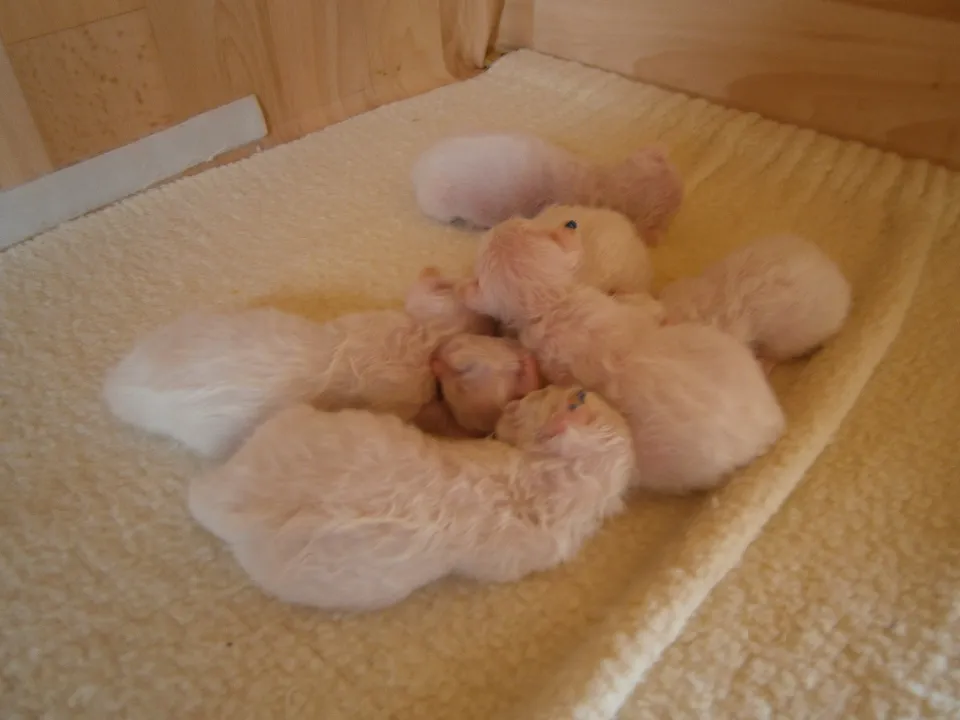 Bild 2 von 3
