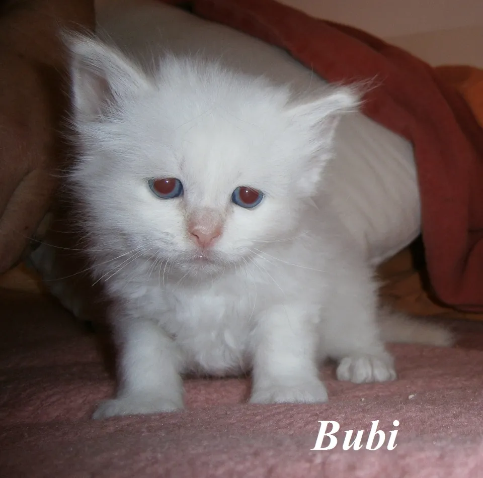 Bild 8 von 9