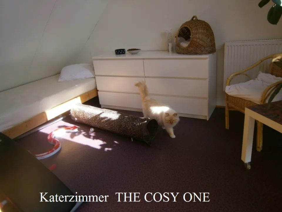 Bild 1 von 4