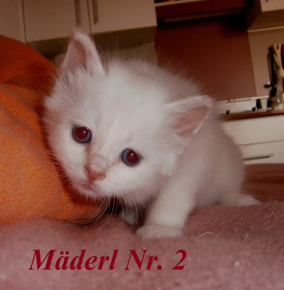 Bild 2 von 9
