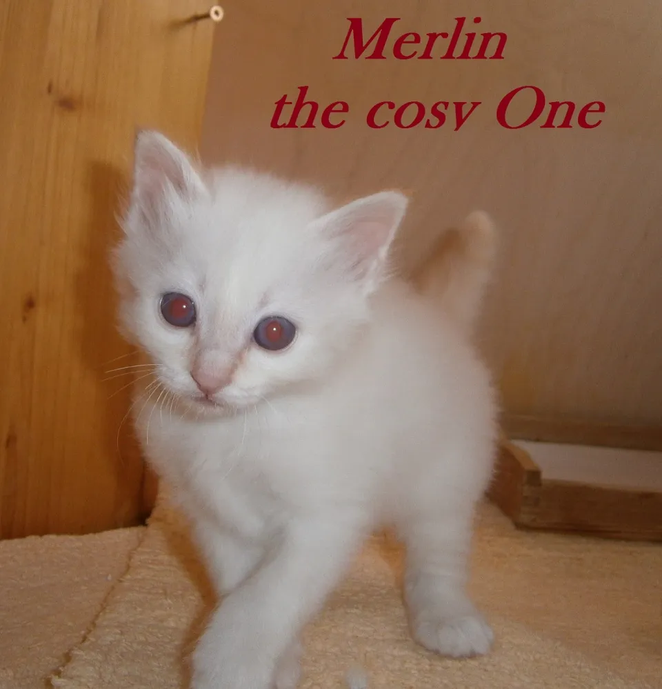 Bild 2 von 3