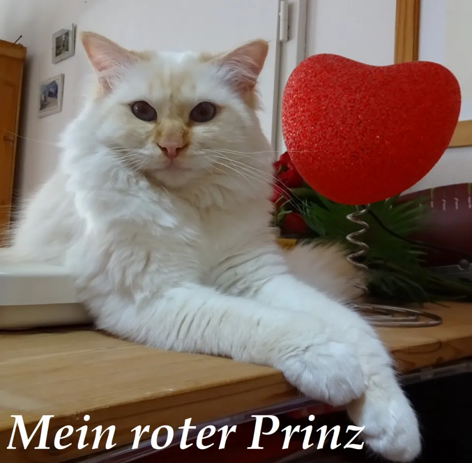 Bild 9 von 33