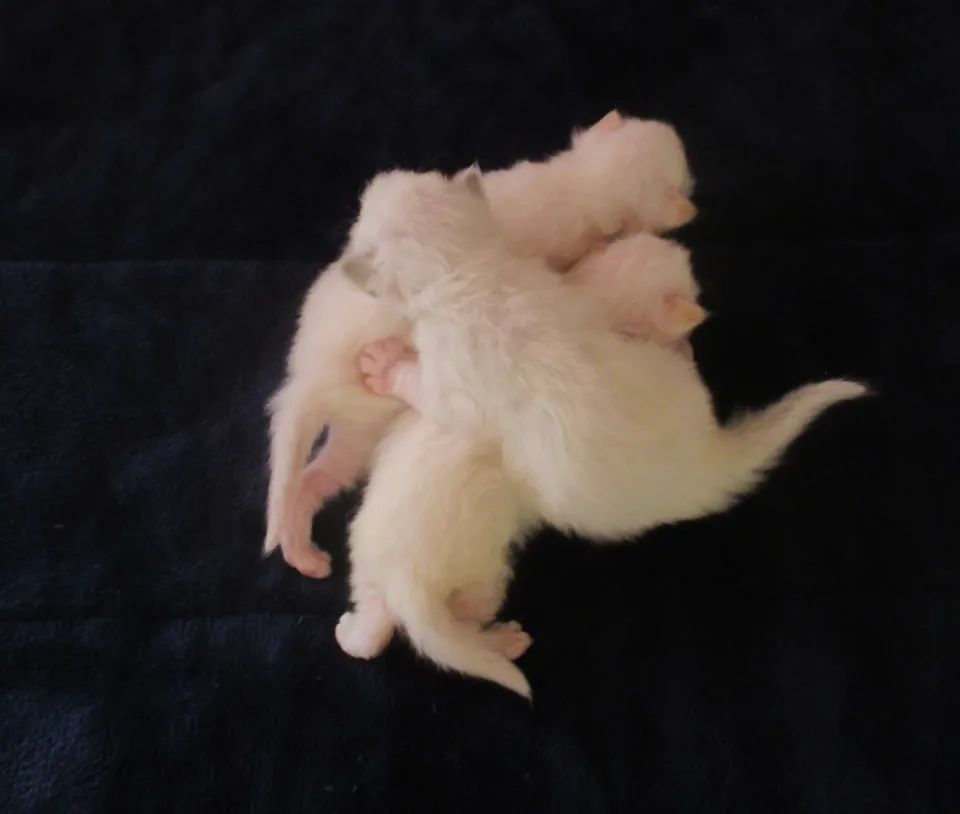 Bild 5 von 5