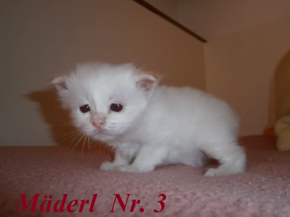 Bild 3 von 5
