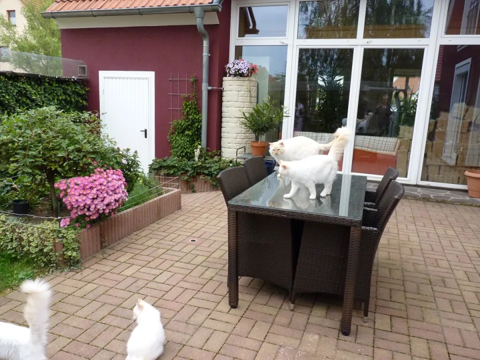 Bild 3 von 3