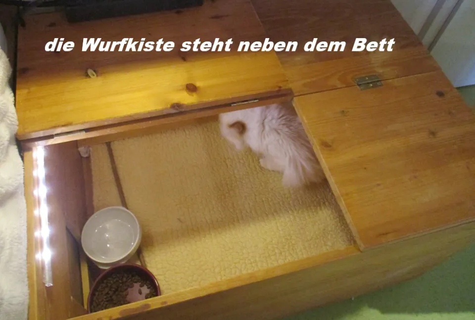 Bild 1 von 6