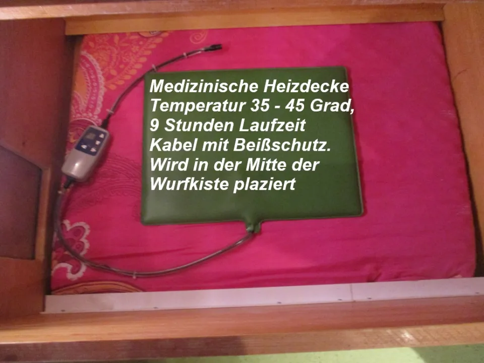 Bild 5 von 6